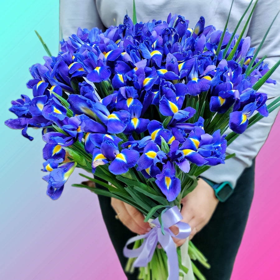 Ирисы - Доставка цветов ☘️ Харьков | VIAFLOR
