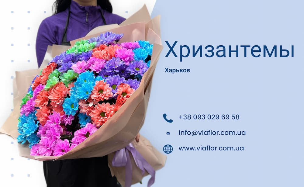 Букеты хризантем - Купить хризантемы в Харькове | VIAFLOR