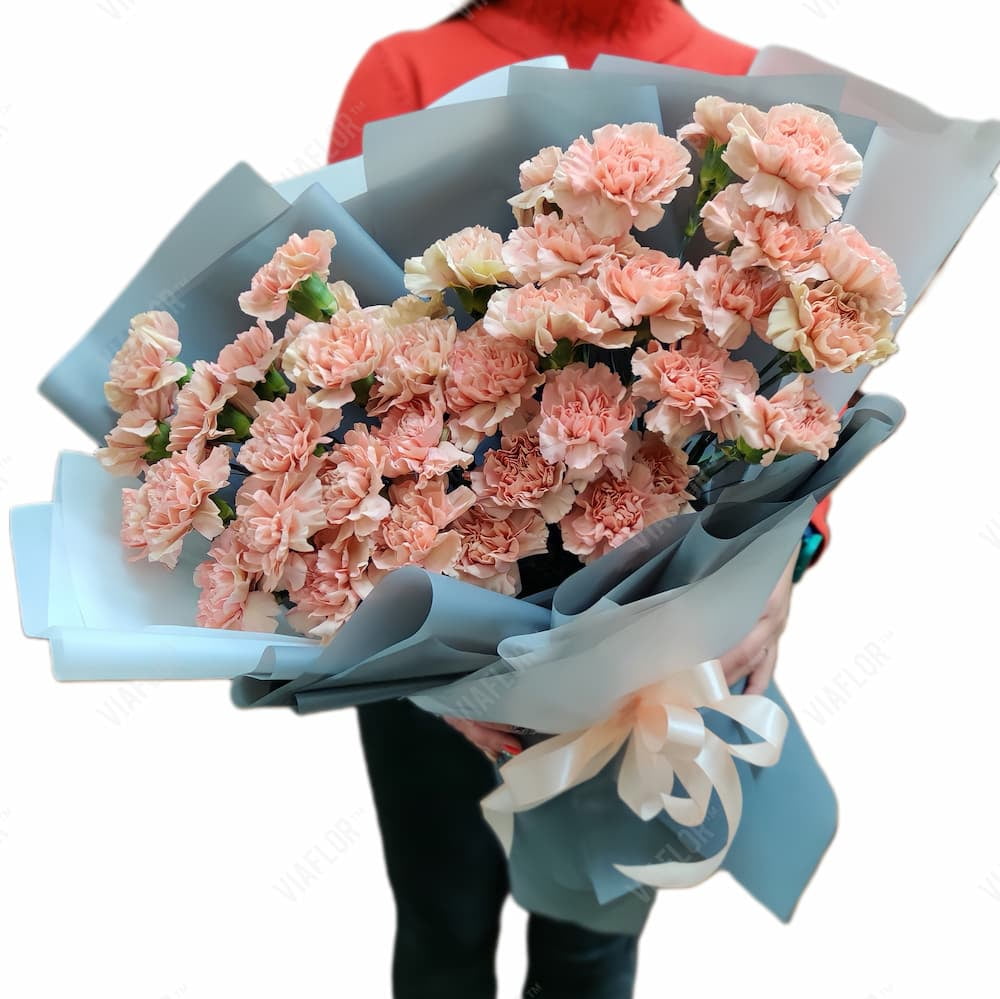 купити букет квітки гвоздик у Харкові | VIAFLOR