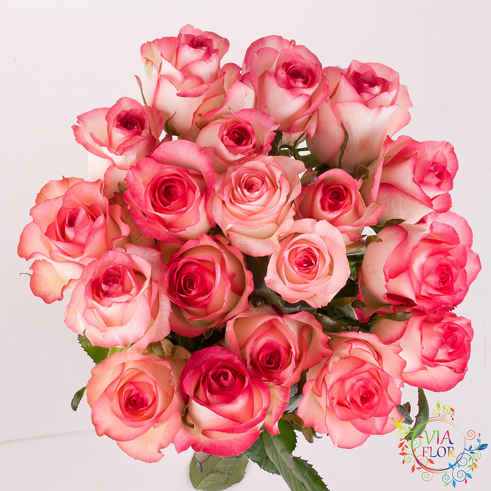 Rose Jumilia Courier delivery of roses in Kharkov VIAFLOR