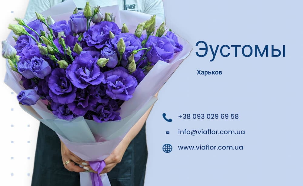 Эустома купить Харьков ☘️ Доставка букетов эустомы | VIAFLOR