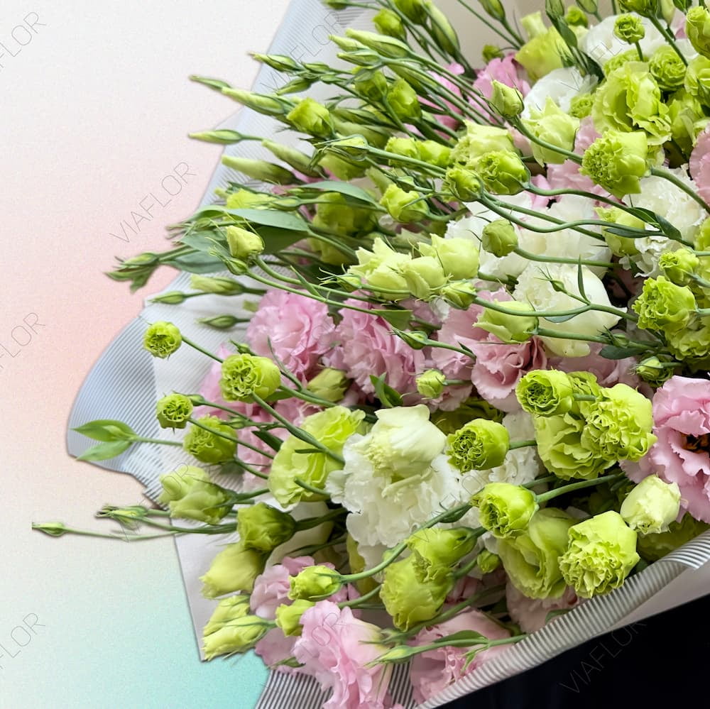 Эустома розово-белый Микс заказать | VIAFLOR